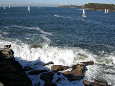 DSCN0616.JPG