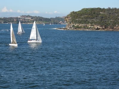 DSCN0617.JPG