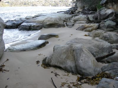 DSCN0620.JPG