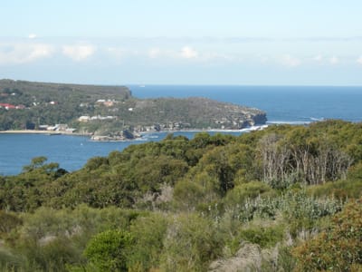 DSCN0625.JPG