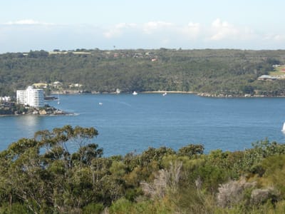DSCN0627.JPG