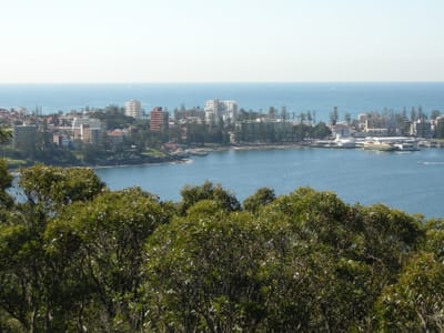 DSCN0632.JPG
