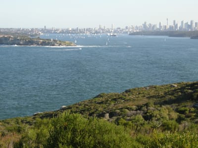 DSCN0636.JPG