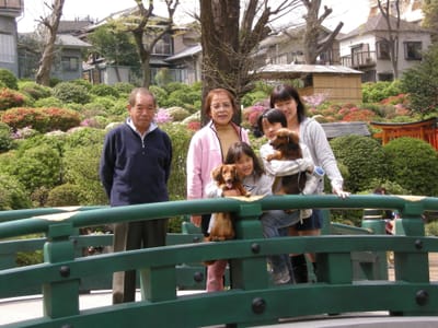 DSCN0394.JPG
