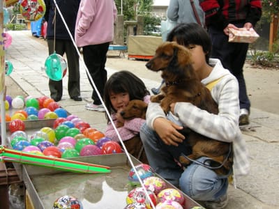 DSCN0400.JPG