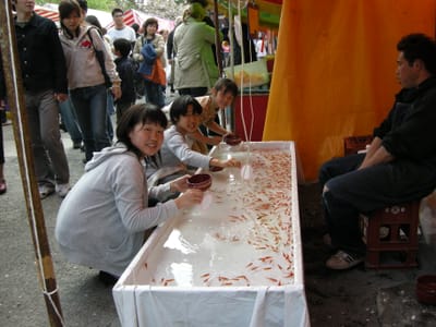 DSCN0409.JPG