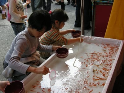 DSCN0410.JPG