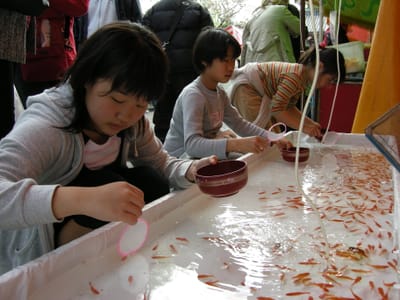 DSCN0411.JPG