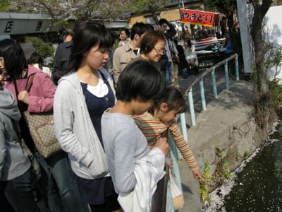 DSCN0414.JPG