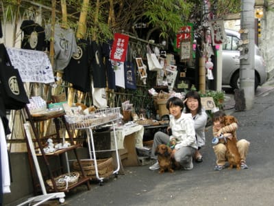 DSCN0419.JPG