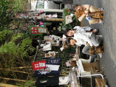 DSCN0420.JPG