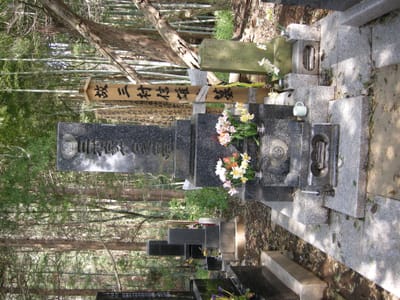 DSCN0422.JPG