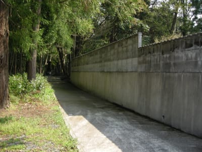 DSCN0424.JPG