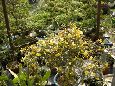 DSCN0429.JPG