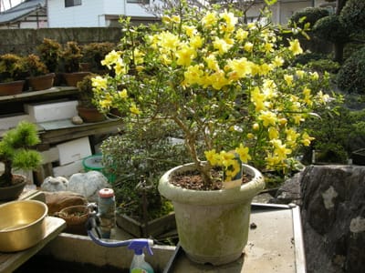 DSCN0430.JPG