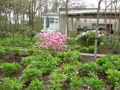 DSCN0435.JPG