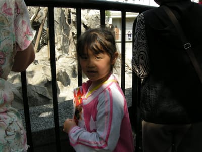 DSCN0439.JPG