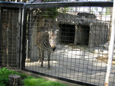 DSCN0441.JPG