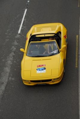 DSC_3953.JPG