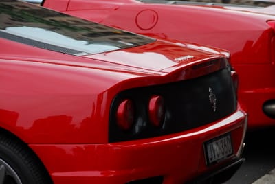 DSC_3973.JPG