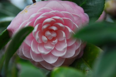 DSC_6179.JPG