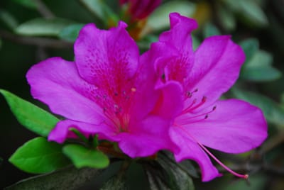DSC_6188.JPG