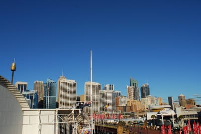 DSC_5918.JPG