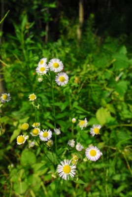 DSC_5577.JPG