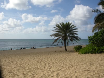 DSCN0761.JPG