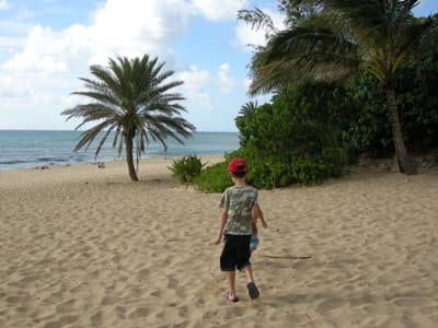 DSCN0764.JPG