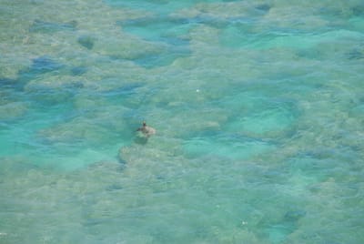 DSC_5119.JPG