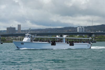 DSC_5202.JPG