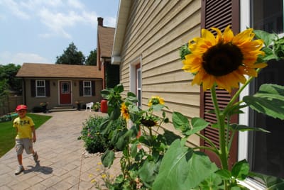 DSC_5530.JPG