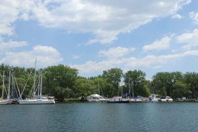 DSC_5371.JPG