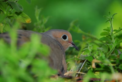 DSC_5456.JPG