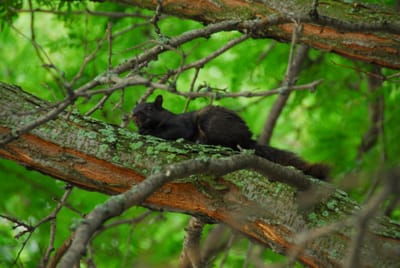 DSC_5457.JPG