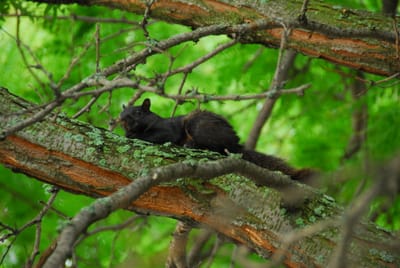 DSC_5458.JPG