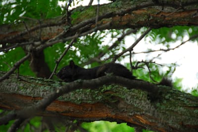 DSC_5459.JPG
