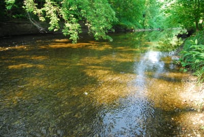 DSC_5558.JPG