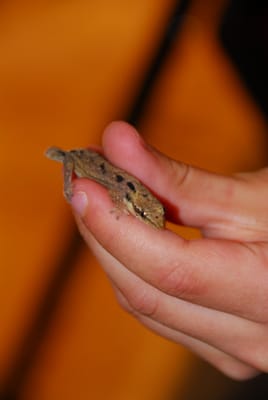DSC_5170.JPG