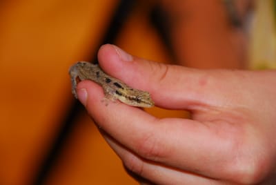 DSC_5171.JPG