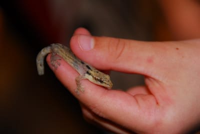 DSC_5172.JPG