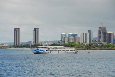 DSC_5706.JPG