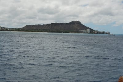 DSC_5709.JPG