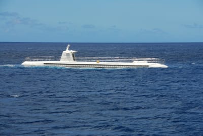 DSC_5713.JPG