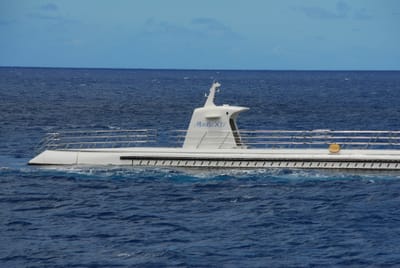 DSC_5714.JPG