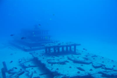 DSC_5732.JPG
