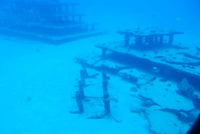 DSC_5733.JPG