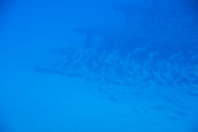 DSC_5734.JPG