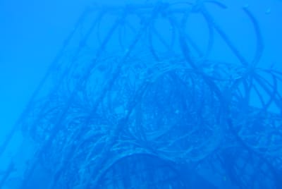 DSC_5738.JPG